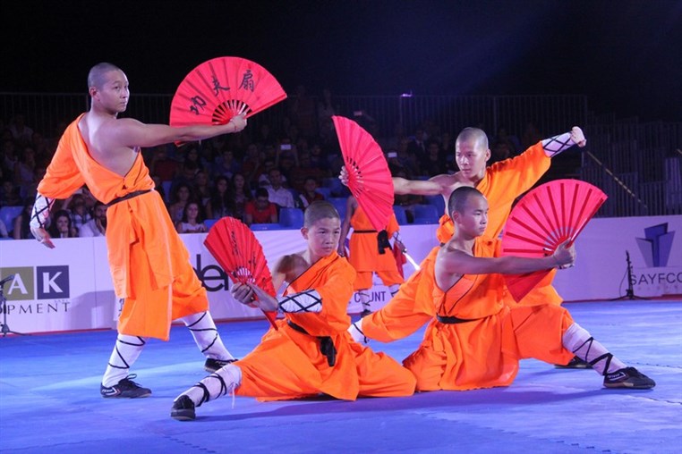 Martial Arts Festival